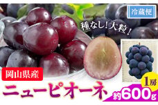 【先行予約】ぶどう ニューピオーネ約600g 1房 株式会社藍《9月上旬-10月下旬頃出荷》 岡山県 浅口市 岡山県産 ぶどう フルーツ 果物 くだもの ピオーネ 送料無料 【配送不可地域あり】