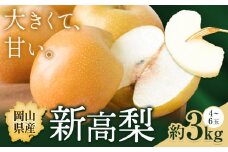 【先行予約】梨 岡山県産 新高梨 約3kg ( 4~6玉 )  株式会社藍《10月中旬-11月下旬頃出荷》 岡山県 浅口市 岡山県産 なし フルーツ 果物 くだもの ナシ 大玉 新高 送料無料【配送不可地域あり】