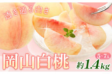 【先行予約】桃 岡山白桃 約1.4kg 5-7玉 株式会社藍《2025年7月中旬-8月上旬頃出荷》 岡山県 浅口市 岡山県産 もも フルーツ 果物 くだもの 白桃 送料無料