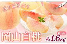 【先行予約】桃 岡山白桃 約1.6kg 6-8玉 株式会社藍《2025年7月中旬-8月上旬頃出荷》 岡山県 浅口市 岡山県産 もも フルーツ 果物 くだもの 白桃 送料無料