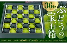 【先行予約】ぶどうの宝石箱 1箱 36粒 たけまさぶどう園 《2025年8月上旬-10月中旬頃出荷》岡山県 浅口市 シャインマスカット ニューピオーネ オーロラブラック フルーツ 果物 くだもの ぶどう マスカット 国産 岡山県産 【配送不可地域あり】（離島）