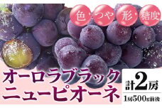 【先行予約】ニューピオーネ 1房 オーロラブラック 1房 500g 前後 たけまさぶどう園 《2025年8月中旬-9月中旬頃出荷》岡山県 浅口市 フルーツ デザート おやつ ぶどう 果物 国産 岡山県産 くだもの 青果物 送料無料【配送不可地域あり】（離島）