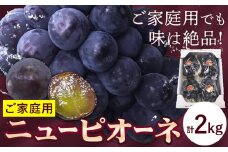 【先行予約】訳あり ぶどう ニューピオーネ ご家庭用 計2kg たけまさぶどう園 《2025年7月下旬-10月上旬頃出荷》岡山県 浅口市 送料無料 フルーツ 果物 岡山県産 青果物 お取り寄せフルーツ【配送不可地域あり】(離島)