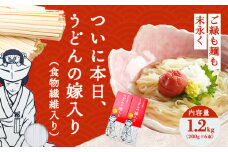 ついに本日、うどんの嫁入り(食物繊維入り) 1.2kg(200g×6束)タナカ製麵所 岡山県浅口市 岡山県 浅口市《30日以内に出荷予定(土日祝除く)》小麦粉（国産、オーストラリア産）イソマルトデキストリン 食塩 うどん 麺 送料無料