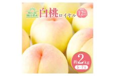 【先行予約】岡山白桃ロイヤル 約2kg 5~7玉 橋田商店有限会社《7月上旬-8月中旬頃出荷》 岡山県 浅口市 岡山県産 もも フルーツ 果物 くだもの 白桃 送料無料