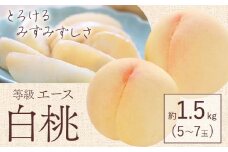 【2025年先行予約】白桃 等級 エース 約1.5kg 5～7玉入り もも モモ 岡山 国産 フルーツ 果物 桃茂實苑《6月中旬-9月中旬頃出荷》岡山県 浅口市 フルーツ モモ 果物 青果 旬 白桃 国産 岡山県産【配送不可地域あり】
