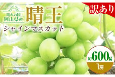 【先行予約】ぶどう 訳ありシャインマスカット晴王 約600g 1房 橋田商店有限会社《9月中旬-11月中旬頃出荷》 岡山県 浅口市 岡山県産 ぶどう フルーツ 果物 くだもの マスカット 送料無料【配送不可地域あり】