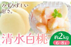 【2025年先行予約】清水白桃  約2kg もも モモ 岡山 国産 フルーツ 果物 桃茂實苑《7月中旬-8月中旬頃出荷》岡山県 浅口市 フルーツ モモ 果物 青果 旬 白桃 国産 岡山県産【配送不可地域あり】