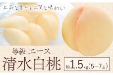【2025年先行予約】清水 白桃 等級 エース 約1.5kg 5～7玉入りもも モモ 岡山 国産 フルーツ 果物 ギフト 桃茂實苑《7月中旬-8月中旬頃出荷》岡山県 浅口市 フルーツ モモ 果物 青果 旬 白桃 国産 岡山県産【配送不可地域あり】