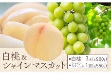 【2025年先行予約】桃 ぶどう 白桃 3玉 約900g（1玉約300g）シャインマスカット 晴王 1房 550g以上 もも 葡萄 詰合せ 岡山 国産 フルーツ 果物 ギフト 桃茂實苑《6月中旬-9月中旬頃出荷》岡山県 浅口市 フルーツ ぶどう 果物 青果【配送不可地域あり】