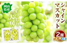 【先行予約】大粒 シャインマスカット 岡山県産 シャインマスカット 2房(約1.4kg)《9月末-10月下旬頃出荷》テレビせとうち株式会社 冷蔵 果物 ブドウ 送料無料 岡山県 浅口市 シャインマスカット【配送不可地域あり】