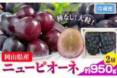 【先行予約】ぶどう ニューピオーネ  約950g 2房 【配送不可地域あり】 株式会社藍《9月中旬-10月下旬頃出荷》 岡山県 浅口市 岡山県産 ぶどう フルーツ 果物 くだもの ピオーネ 送料無料