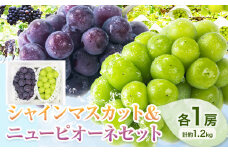 【先行予約】シャインマスカット ＆ ニューピオーネ 各１房 計約1.2kg《9月中旬-10月上旬頃出荷》テレビせとうち株式会社 冷蔵 果物 ブドウ 送料無料 岡山県 浅口市 シャインマスカット【配送不可地域あり】