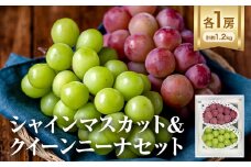 【先行予約】シャインマスカット ＆ クイーンニーナ 各１房 計約1.2kg《9月中旬-10月中旬頃出荷》テレビせとうち株式会社 冷蔵 果物 ブドウ 送料無料 岡山県 浅口市 シャインマスカット【配送不可地域あり】