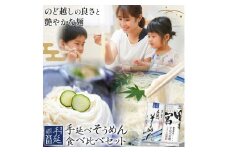 そうめん 素麺 手延べ 手延べそうめん 極細 食べ比べ セット 各250g×2袋 宮田製麺株式会社《12月上旬-1月末頃出荷予定》岡山県 浅口市 送料無料 麺 贈答用 ギフト お取り寄せ お歳暮 乾麺 素麺 麺類 備蓄 特産品 グルメ 小分け