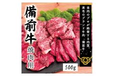 DD-20　牛肉　備前牛（黒毛牛）焼肉セット　500g