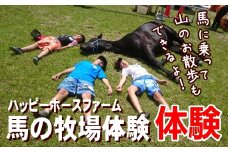 ZZ-7　馬の牧場体験＆馬に乗って山をお散歩30分コースチケット