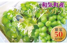 CC-83　シャインマスカットぶどう1.0kg（1～2房）