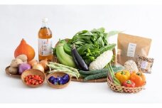 EE-40 【栽培中農薬不使用】旬の農産物セット