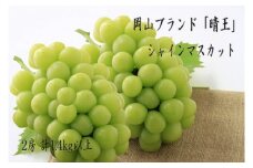 hh-102【令和7年発送】岡山県産　秋のシャインマスカット「晴王」2房（約1.4kg）