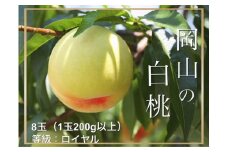 Fg-2　【令和7年発送・先行予約】岡山県産　白桃（1玉200ｇ以上）8玉　等級：ロイヤル　化粧箱入り