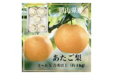 ZZ-13　岡山県産あたご梨3〜6玉　青秀以上（約4.0kg）化粧箱入り