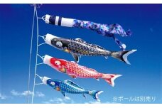 tt-2　よろこびの鯉　千寿　5m6点セット