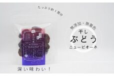 zz-116　ニューピオーネ　干しぶどう