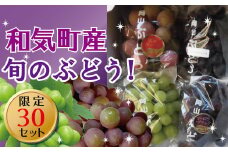 TT-111　おいしいぶどう3種3色ベストミックスセット2.0kg