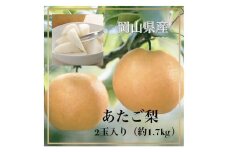 oo-129　岡山県産あたご梨2玉（約1.7kg）化粧箱入り