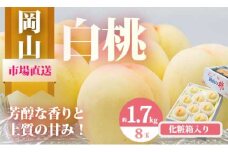 pp-60　【令和7年発送・先行予約】岡山県産　白桃8玉（合計1.7kg以上）　化粧箱入り