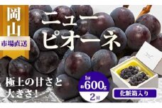 EE-64　【令和7年発送・先行予約】岡山県産　ニューピオーネ（1房600g以上）2房　化粧箱入り