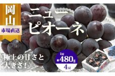 pp-59　【令和7年発送・先行予約】岡山県産　ニューピオーネ（1房480g以上・約2kg）4房