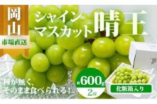 ZZ-18　【令和7年発送・先行予約】岡山県産　シャインマスカット（1房600g以上・晴王）2房　化粧箱入り
