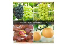 xx-105　【令和7年発送・先行予約】フルーツ定期便　全4回コース