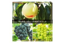 IT-2【令和7年発送・先行予約】フルーツ定期便3回コース