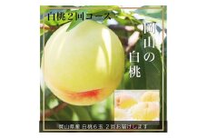 If-2【令和7年発送・先行予約】白桃2回お届けコースA