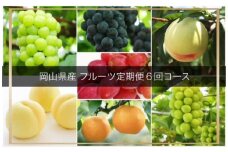 Jw-6　【令和7年発送・先行予約】岡山県産　晴れの国岡山フルーツ7月8月9月10月11月12月定期便6回　化粧箱入りA