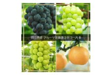 Hz-3【令和7年発送・先行予約】フルーツ定期便　全3回コースB