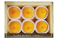 Cz-11　【令和7年発送・先行予約】岡山県産 黄金桃 6玉（合計1.6kg以上）化粧箱入り