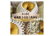 Cz-10　【令和7年発送・先行予約】岡山県産 新高梨 3-6玉（約4㎏） 化粧箱入り