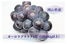 BS-20　【令和7年発送・先行予約】岡山県産 オーロラブラック2房（1房480g以上）化粧箱入り
