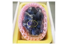 AC-27　【令和7年発送・先行予約】岡山県産 オーロラブラック1房（600g以上）※推し武道箱入り
