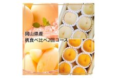 Fg-8【令和7年発送・先行予約】岡山県産 桃食べ比べ全2回コース