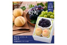 yy-34【令和7年発送】桃・ピオーネ詰合せ