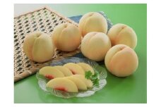aa-105【令和7年発送】岡山県産　岡山白桃8～10玉（約2.0kg）