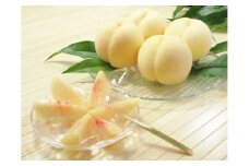 jj-106【令和7年発送】岡山県産　岡山白桃5～7玉②（約1.5kg）