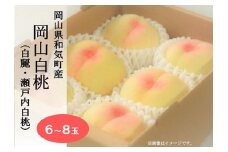 Cz-19  岡山白桃6～8玉・約2.0kg（白麗・瀬戸内白桃）化粧箱入り