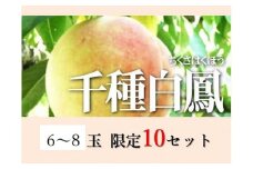 Cz-18　千種白鳳（6～8個・約2.0kg）化粧箱入り