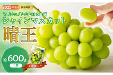 yy-36　シャインマスカット 晴王 秀品 約600g 1房 岡山県産 ぶどう御中元 ギフト 御礼 プレゼント 御礼 御祝 御供 果物 くだもの フルーツ